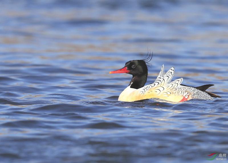 58cb98fe53676478b28f096a0799a71a.jpg (800×573)