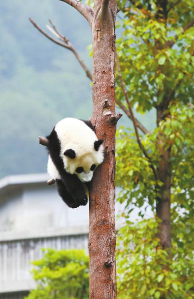 3bdf092ca16c0ae374d72b095d94e327.jpg (390×600)