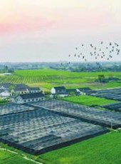 20190403四川日报图片