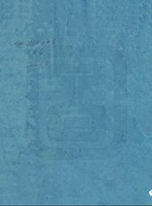 【道光】《龙安府志》（十卷）