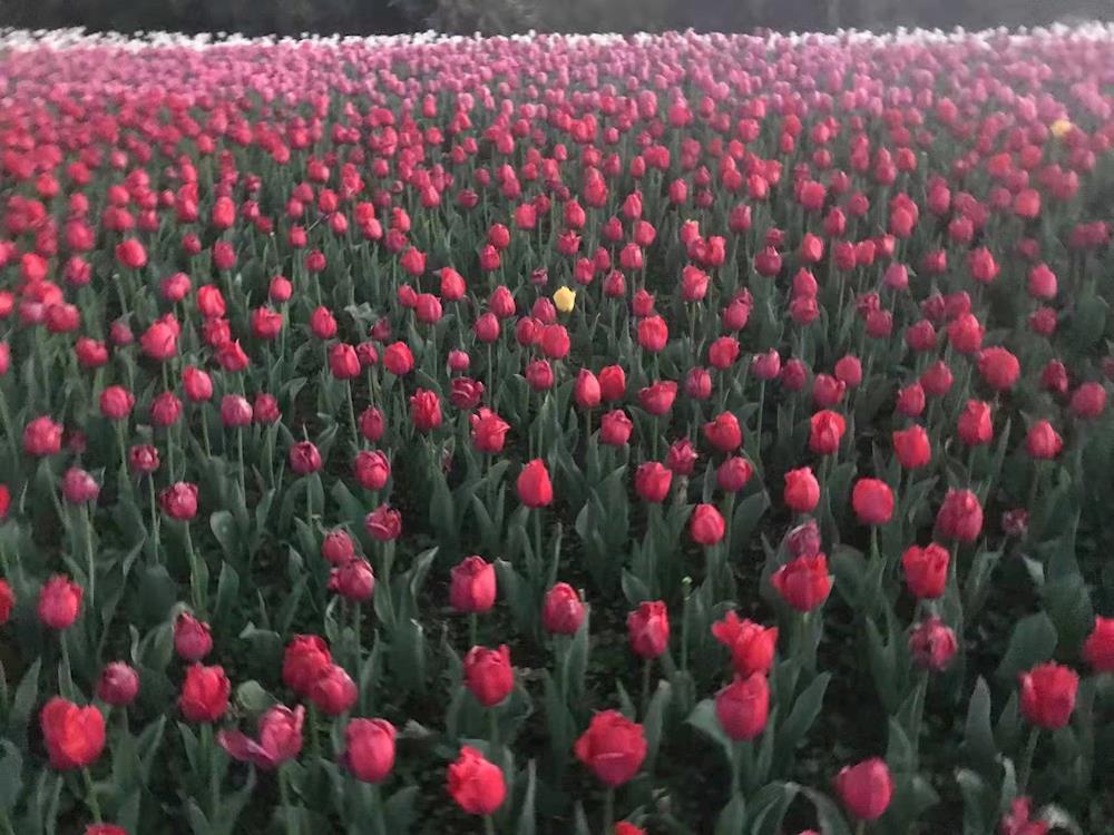 feed235eb58846f3881059b2648586d8.jpg feed235eb58846f3881059b2648586d8.jpg