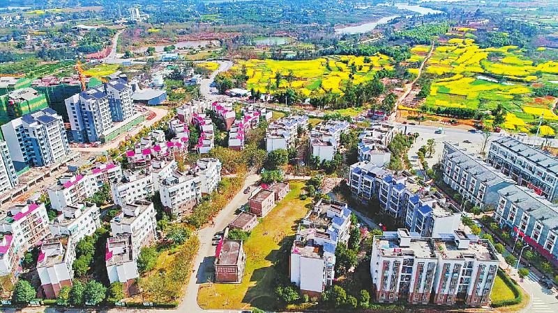 7bd7a50e951e0647daf00031f850ace4.jpg (800×450)