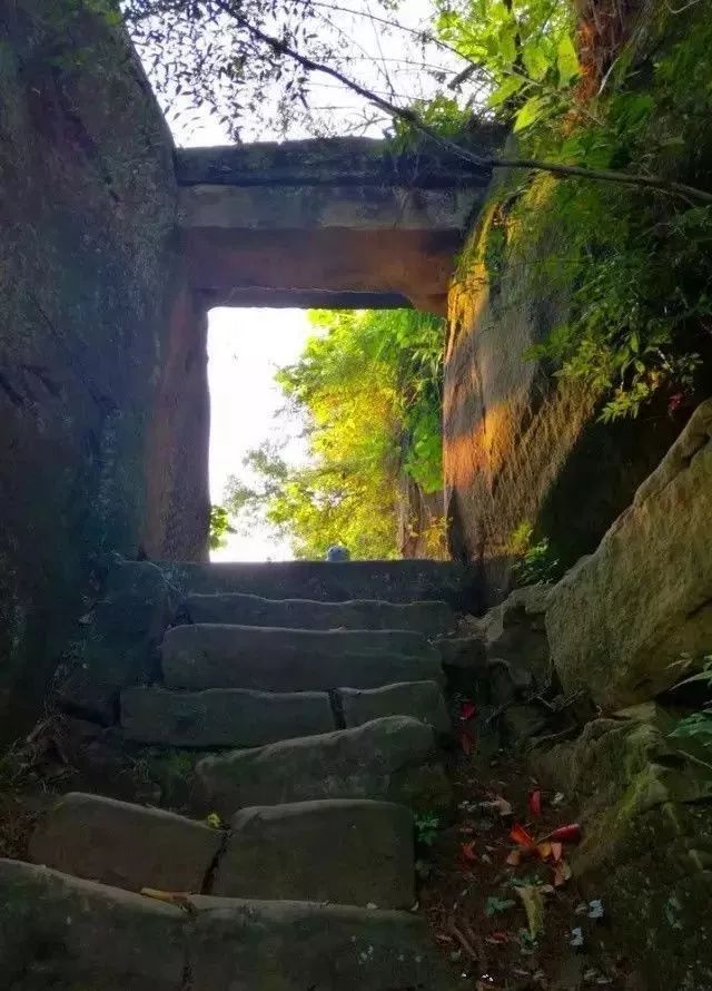 荔枝古道遗迹.jpeg