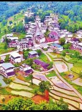 20190530四川日报图片