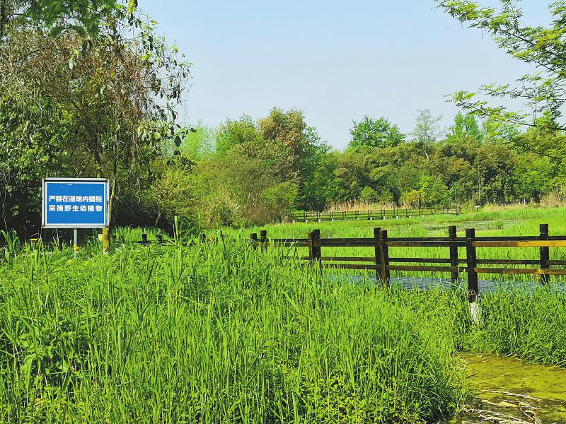 042d6c9888918d850b103d6e65f29b7f.jpg (800×600)