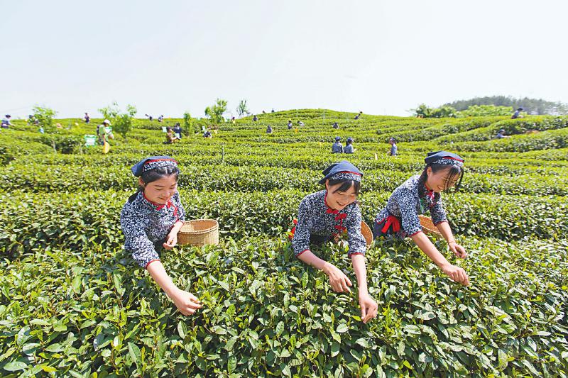 fd517b1334dabac9c4da825e31635f09.jpg (800×533)