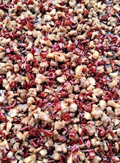 【方志四川•地理标志产品】麻辣鲜香、回味悠长的自贡冷吃兔