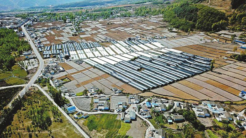 eb97aa5a1a67fc67d70dd1e3366b145a.jpg (800×450)