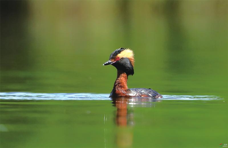 eaf0ed1abfa0c97ebe8df4cb7bc555b0.jpg (800×518)