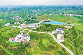 华蓥市禄市镇姚家塝村桃园和紫薇花园