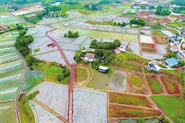 岳池县中国川菜地道食材基地一角