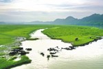 蓬安:“百牛渡江”拉动乡村旅游