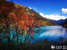 美如童话世界！秋色醉人，九寨沟已归来