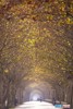 19111415233180400011229A.jpg