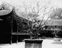 1909年都江堰二王庙内的景观。.png