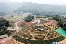 中国雅安藏茶文化旅游节在雅安开幕