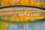 191206162724489000118943.jpg