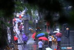 2007220911187670001716BF.jpg