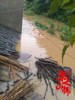 NEWS_CF2BAD6107AD8756FD82AAA060E46B86.JPG