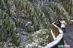 NEWS_7D5CF3EA3F47338FBB9B17B9BD8A16B3.JPG