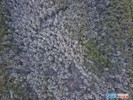 白雪作画 看合江福宝玉兰山变“立体水墨画”