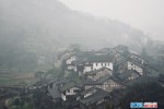 NEWS_3B501CDDFB1C6534D13EA8A097924018.JPG