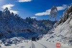 NEWS_368C8B337E2784A3E06CC9640CD9DD87.JPG