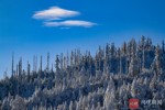NEWS_7E10F33409D8E601EE2C954D2E9D714A.JPG