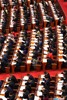 NEWS_8F8176483F39809B1C25C49897883DDC.JPG
