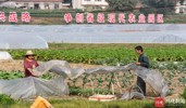 NEWS_58C49EF77C8D8E1AE9EDDC529D47C6A2.JPG