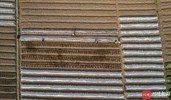 NEWS_C8CBE5DD941A8E90ED2D3DD0DFEBBAF3.JPG
