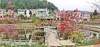 NEWS_4DDAC24C9BED806EB40D470FF8D2F1EB.JPG