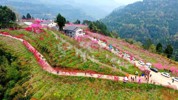 NEWS_41596D66975F5C36DFA04AEA343CCB58.JPG