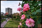 NEWS_45B8FD17AADD5EDED65F390325A0BA47.JPG