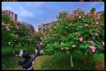 NEWS_1E1D2DC6E6BB02E59B6254ABD64FC547.JPG