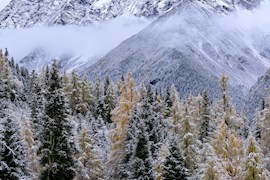 云游四川，半山彩林半山雪丨四姑娘山，今天换上了“混搭”彩色新衣