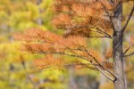 NEWS_1815D7F6105DD7F5ACC972AF26E7EF77.JPG