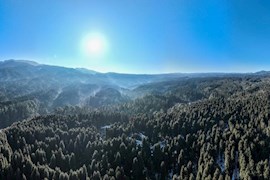 龙苍沟：雪山渐融 初春朝阳唤醒万物复苏