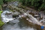 峨眉山景区龙门洞峨眉河中的地质景观“石船”（6月5日摄）.jpg
