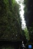 峨眉山景区清音阁黑龙江栈道处的地质景观“一线天”（6月5日摄）.jpg