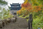 NEWS_C6D76583AFAD32AB37B7036A9AAC65A5.JPG