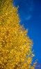 NEWS_031B8478B28A7D9A973D614134B0425B.JPG