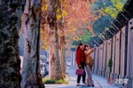 NEWS_0409C9EE05163CD9FC4E7E1CF023B44B