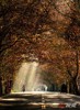 NEWS_673D96FA0D99DBEDEA2F5758747C807F