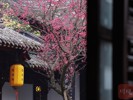 NEWS_2492AD4D9E6C47197A64DE4A32259206.JPG