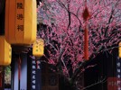 NEWS_B67289DC70E9ABC5F439E395D30BEC95.JPG