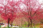 NEWS_4A64CE3279A881F7C77F5F0E5F5977D6.JPG