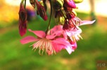 NEWS_98A3FBB32E0A97356486E77972CC05F4.JPG