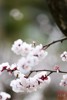 NEWS_0667DA5615A3B694CA3AEF5B0CB30F98.JPG