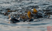 NEWS_B99681AAD2ADD1F84625A78A467EE04A.JPG